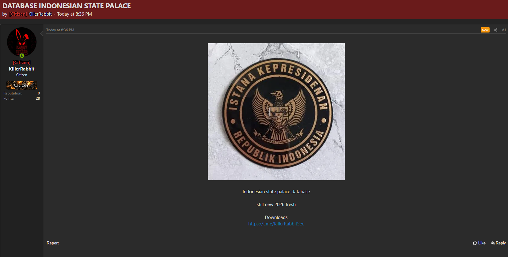 Alleged leak of the Indonesian State Palace data