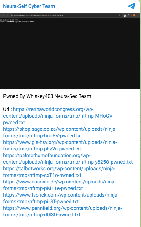 Neura Self Cyber Team targets the website of Tyonek Native Corporation