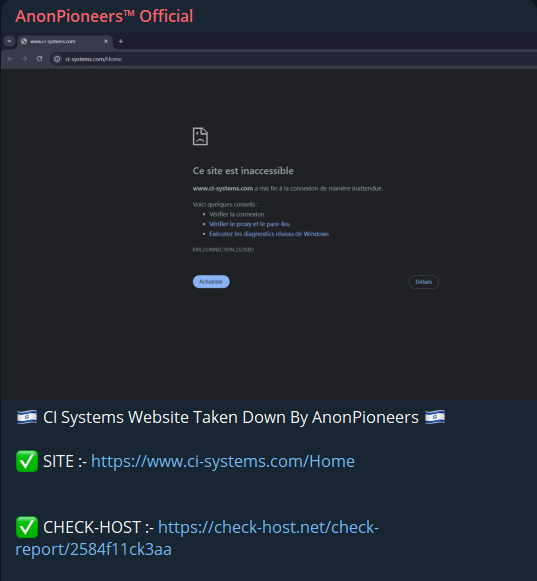 AnonPioneers瞄准CI Systems网站