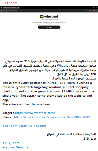 313 Team targets the website of Whatnot