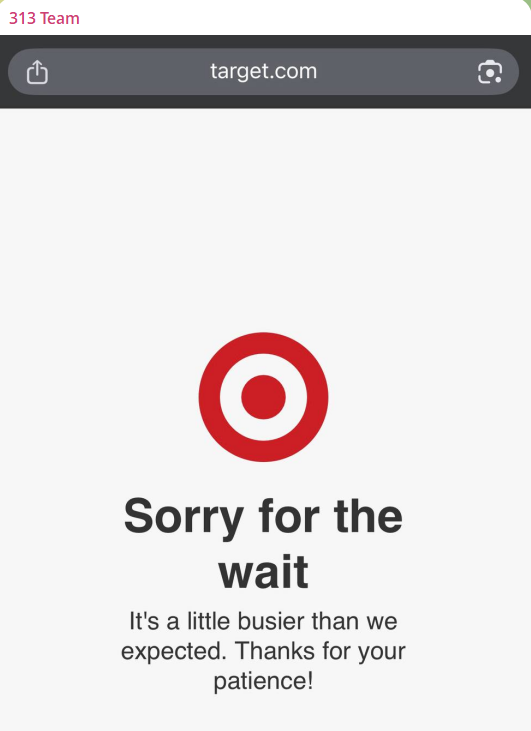 313 Team targets the website of Target