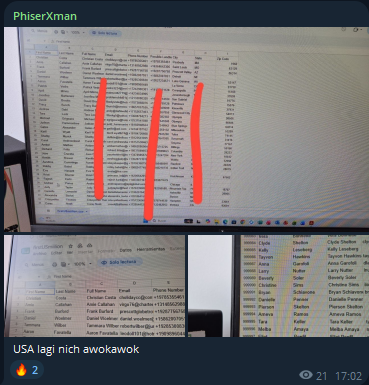 Alleged leak of USA database