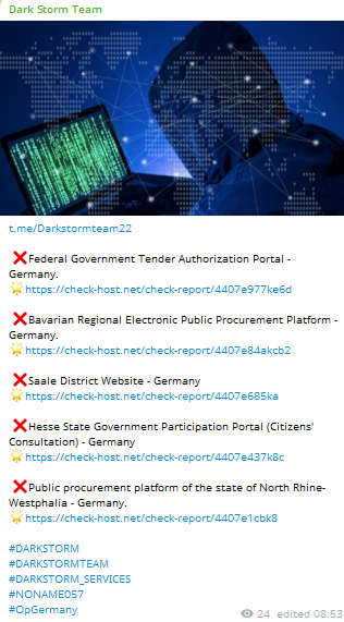 Dark Storm Team targets the website of ELSTER
