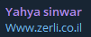 Yahya sinwar targets the website of Zerli