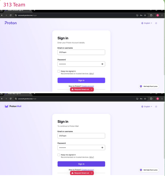 313 team targets the website of Proton