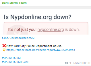 Dark Storm Team targets the website of New York City Police Department