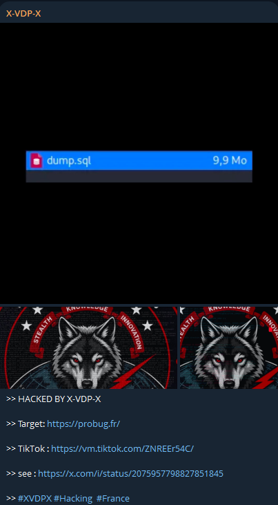 X-VDP-X targets the website of PROBUG NANTES