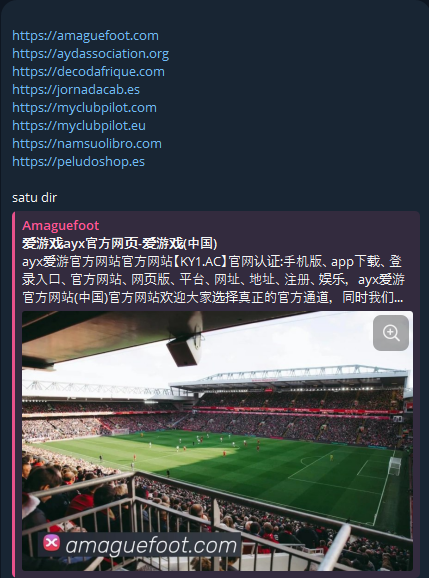 Alleged access to Namsuo Libro