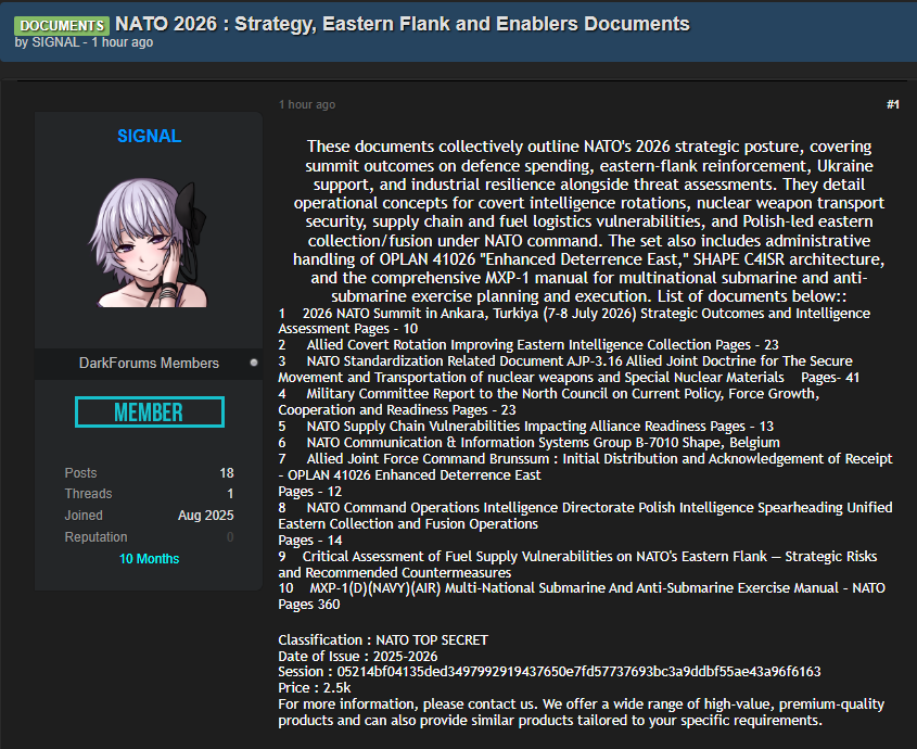 Alleged data breach of NATO documents