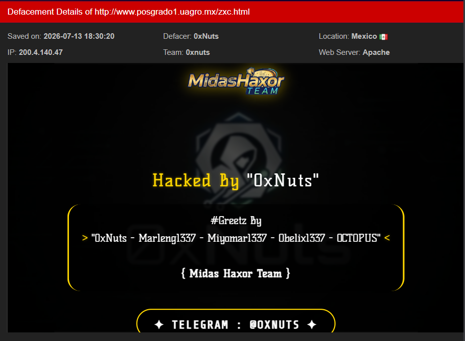 0xnuts targets the website of Dirección de Posgrado