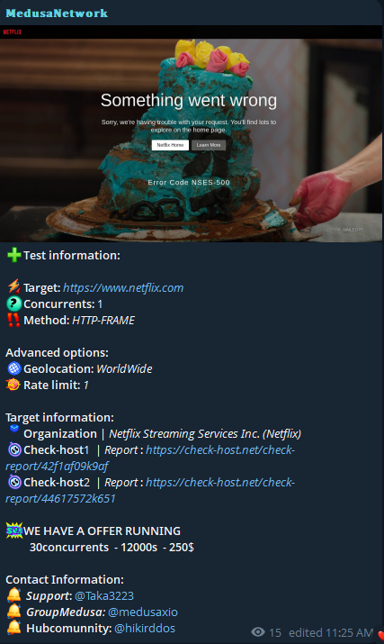 Medusa Network targets the website of Netflix