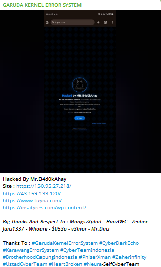 GARUDA KERNEL ERROR SYSTEM targets the website of InstaTyres