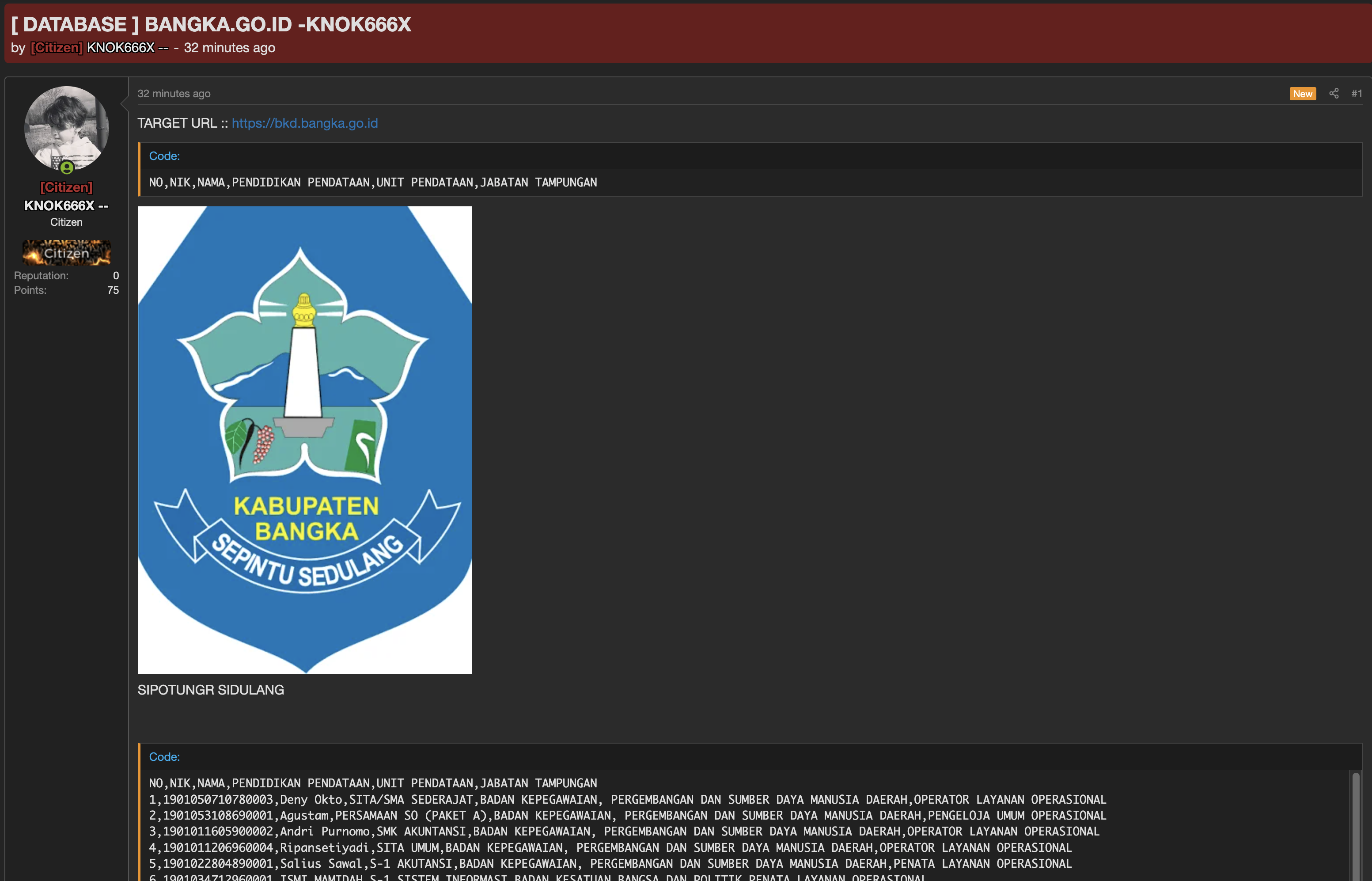 Alleged data breach of Badan Kepegawaian dan Pengembangan Sumber Daya Manusia Daerah