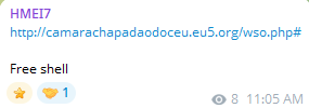 Alleged sale of Webshell Access to Municipal Chamber of Chapadão do Céu