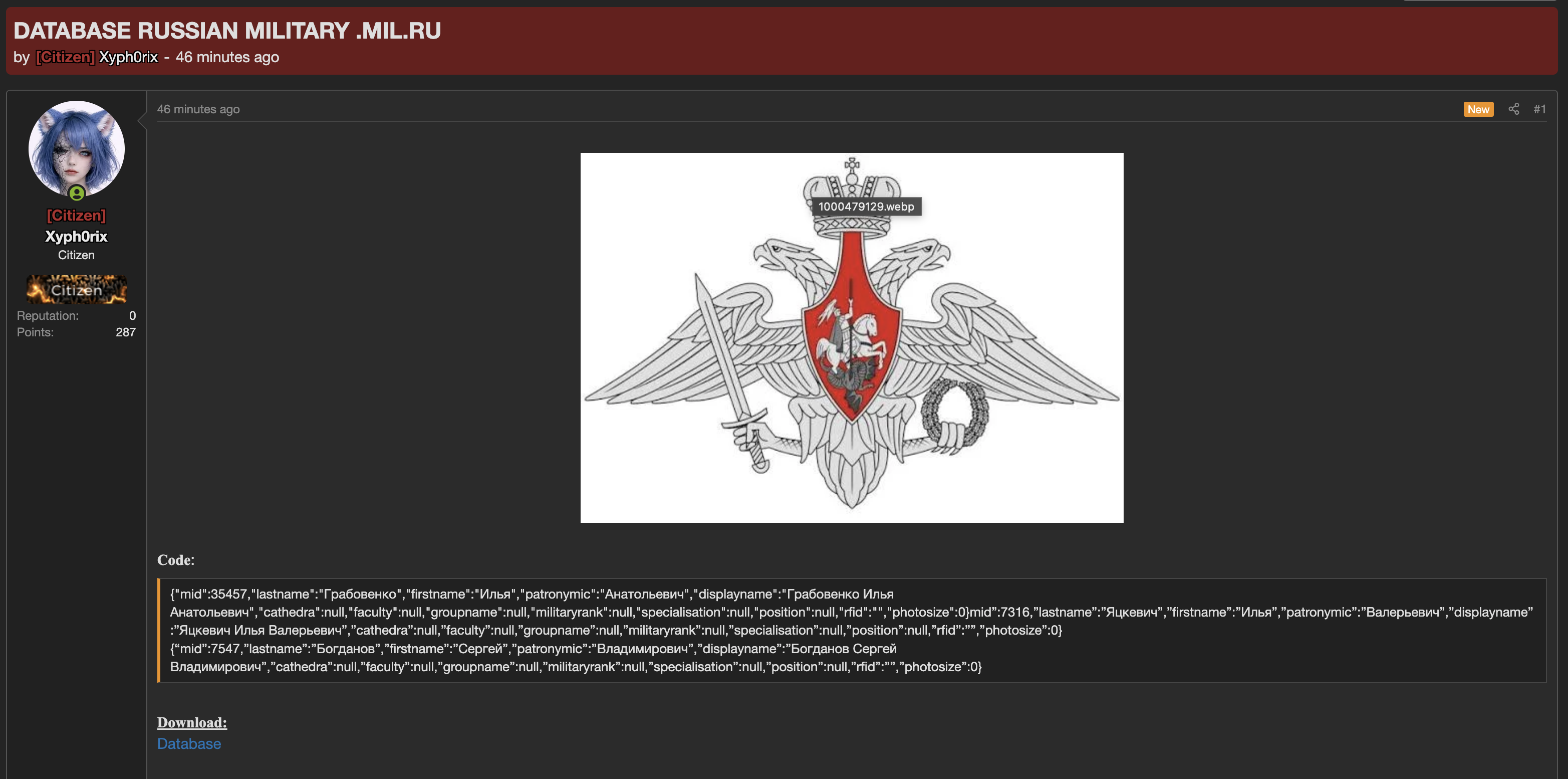 Alleged data breach of Ministry of Defence of the Russian Federation