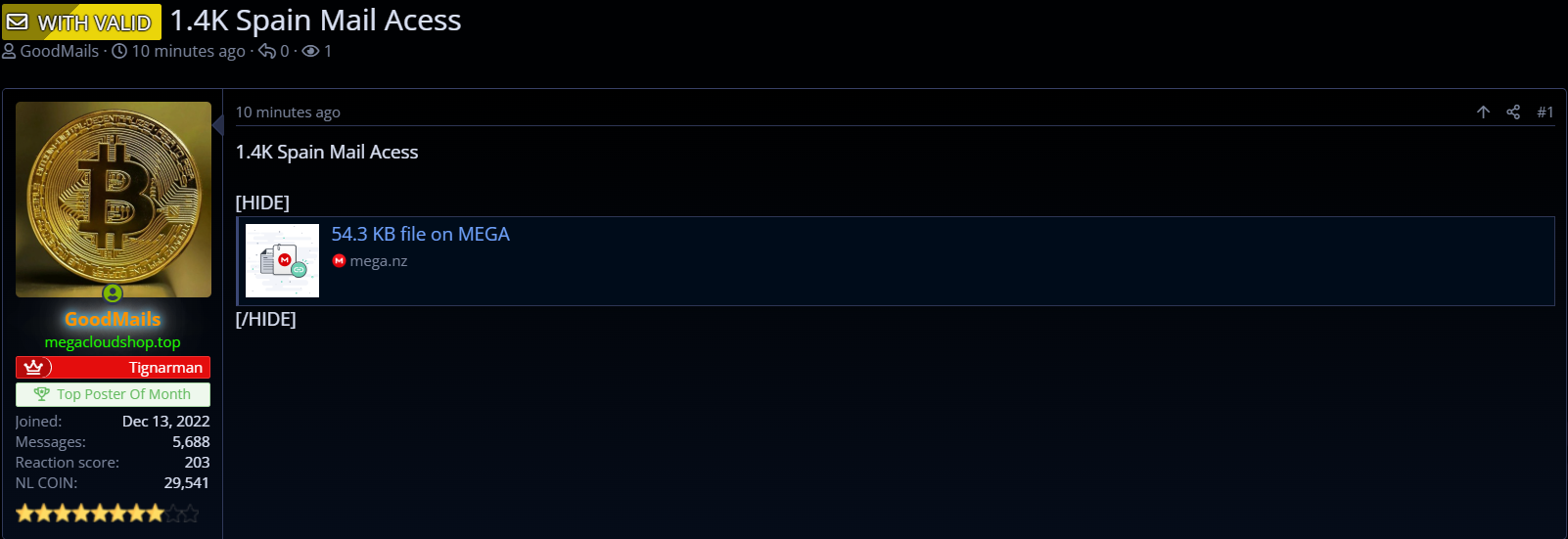 Alleged Sale of 1.4K Spain Email Account Access