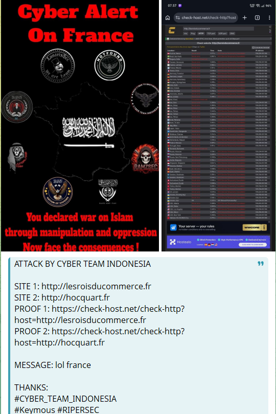CYBER TEAM INDONESIA targets the website of Les Rois du Commerce