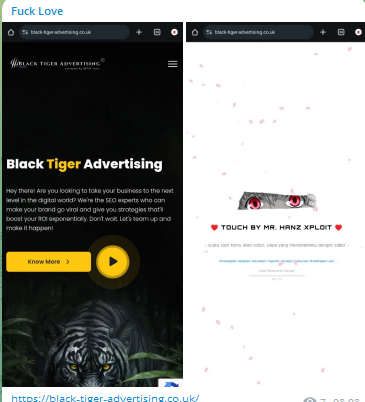 DeepCore Network targets the website of Black Tiger Advertising