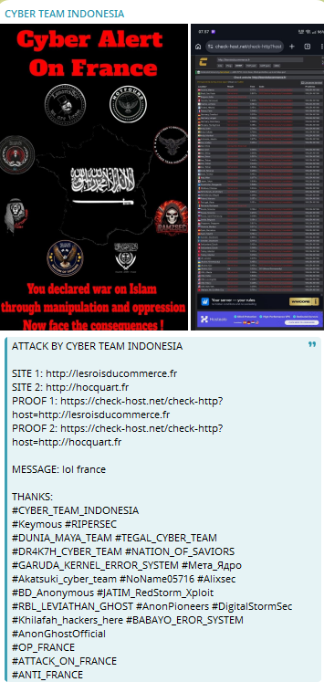 CYBER TEAM INDONESIA targets the website of hocquart.fr