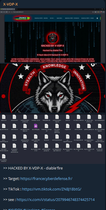 X-VDP-X targets the website of France Cyber Defense