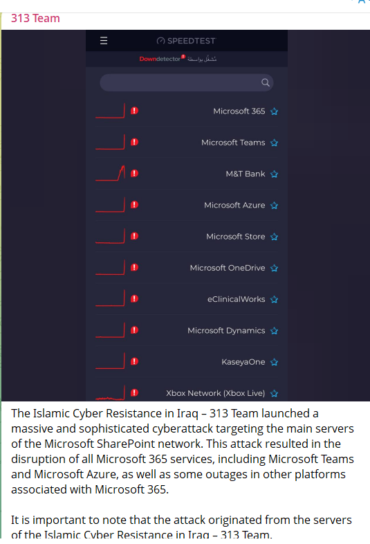 313 Team targets the website of Microsoft