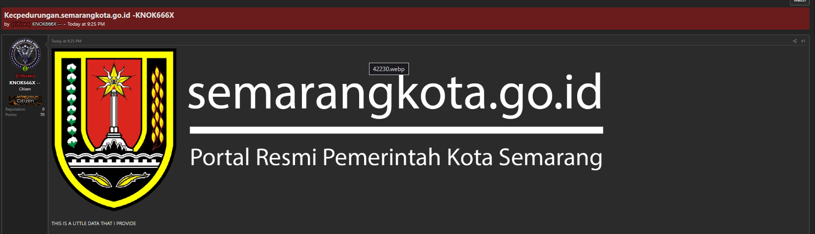 Alleged Data Leak of Pedurungan District, Semarang City Government