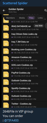 Alleged leak of data from Iraq