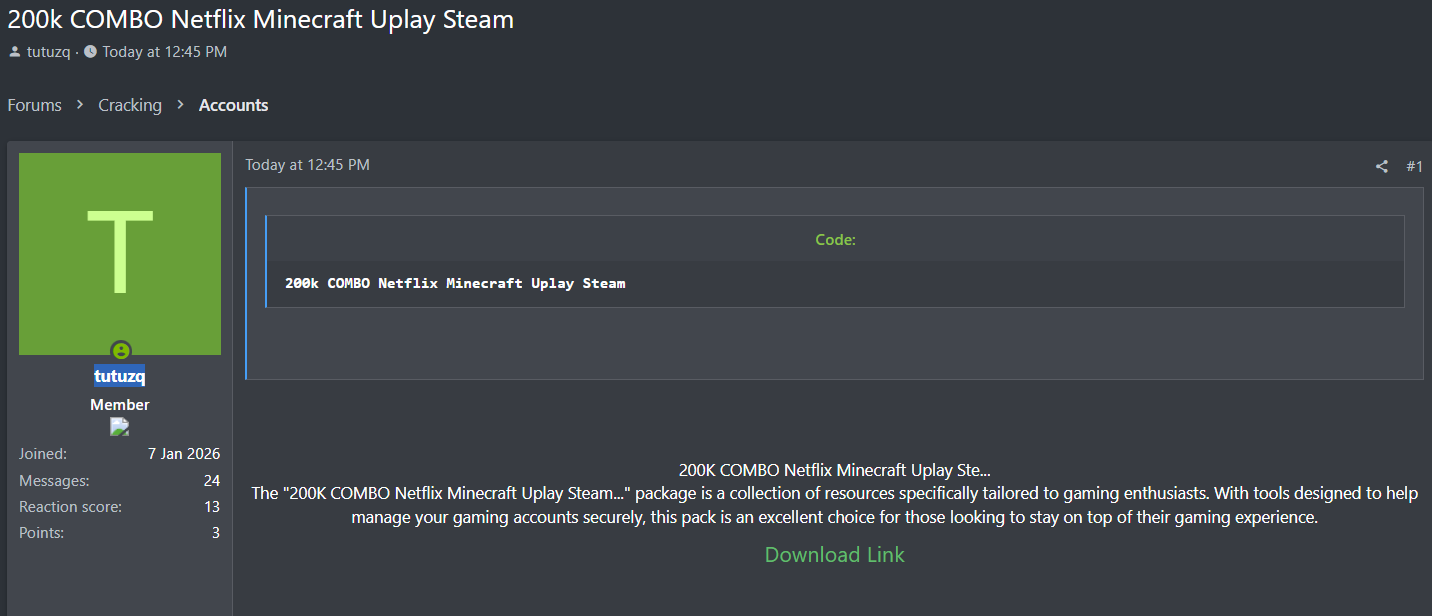 Alleged Leak of 200K Netflix, Minecraft, Uplay & Steam Combolist