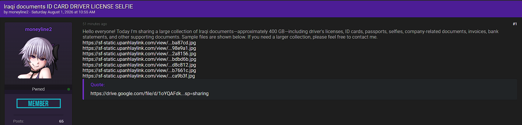 Alleged Sale of 400 GB Iraq Identity & Financial Documents