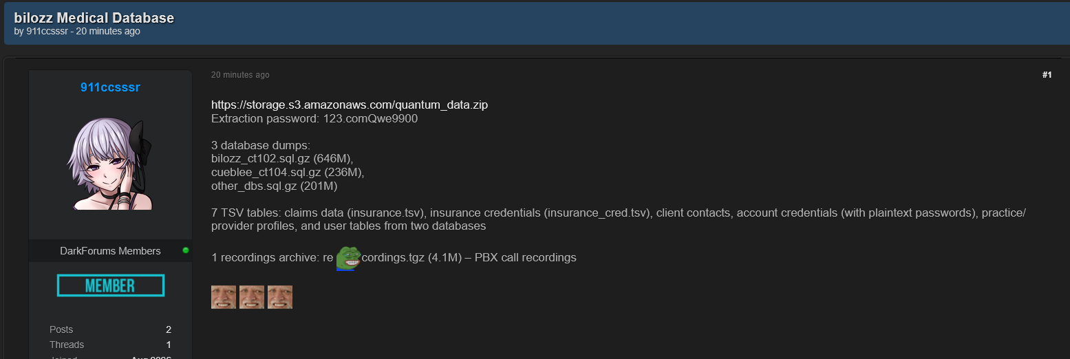 Alleged data breach of Bilozz