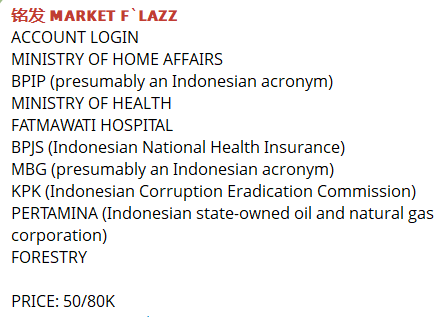 Alleged login access to Multiple Indonesian Government Organization