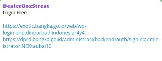 Alleged unathorised login access to Bangka Regency Portal