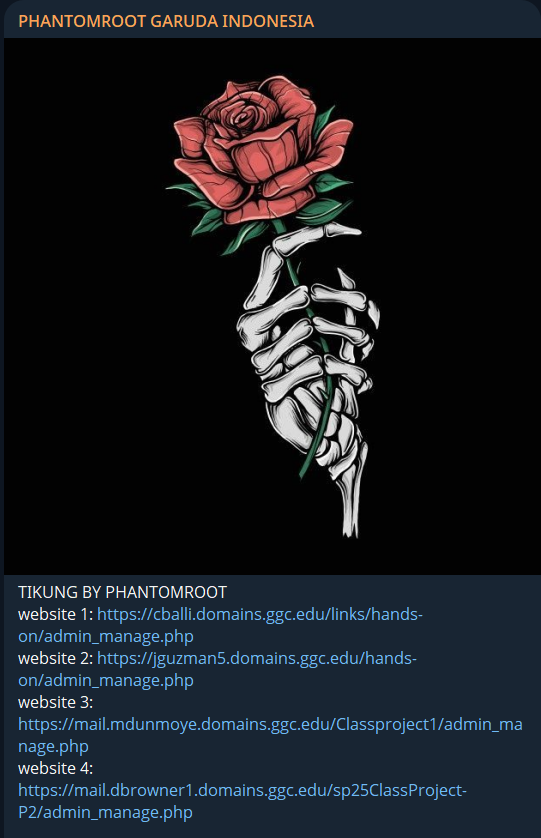 PHANTOMROOT GARUDA INDONESIA瞄准佐治亚州Gwinnett学院网站