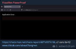 FloodNet PowerProof targets the website of TikTok