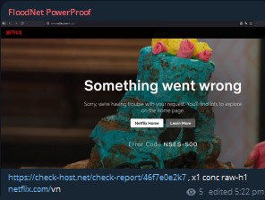 FloodNet PowerProof targets the website of Netflix