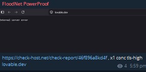 FloodNet PowerProof targets the website of Lovable