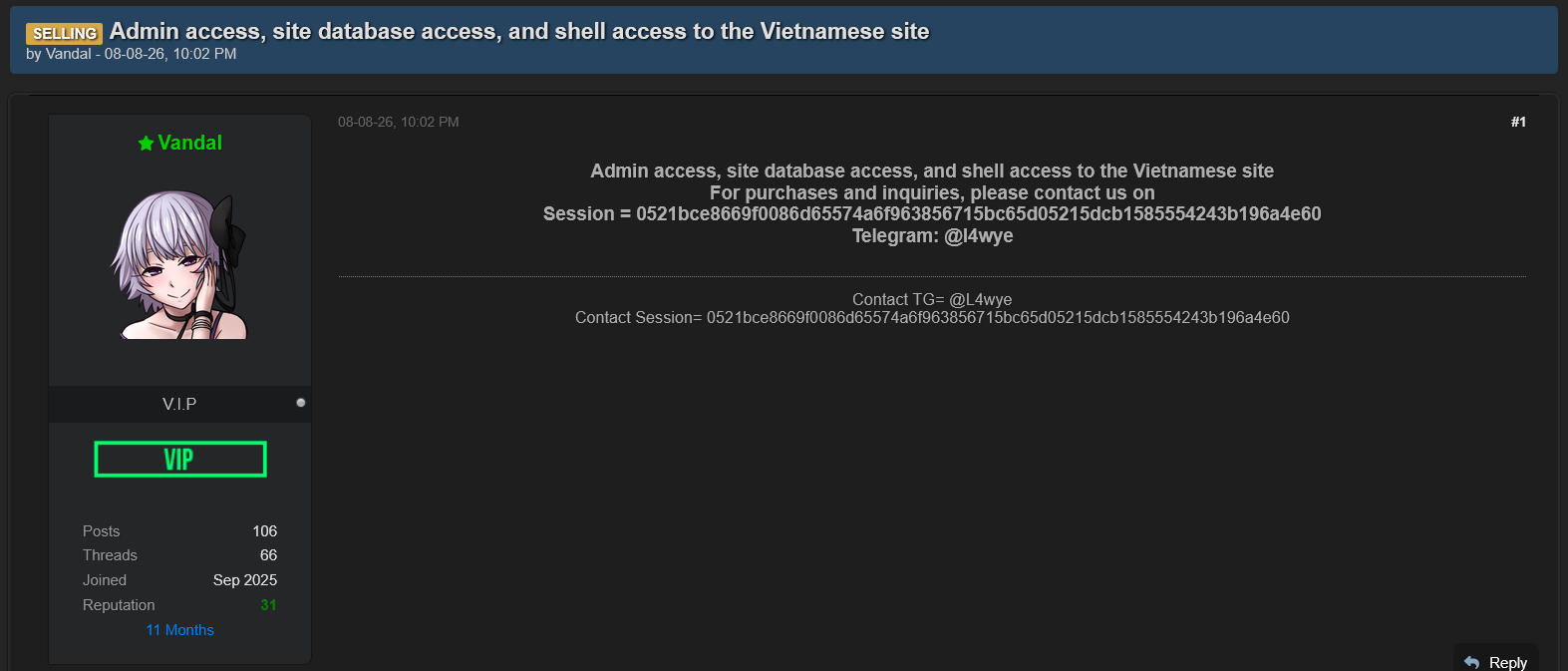 Alleged Sale of Unauthorized Access to Vietnamese Websites