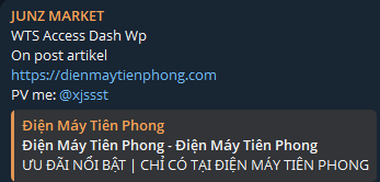 Alleged sale of unauthorized wts access to Tien Phong Electronics