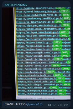 Alleged Sale of Unauthorized CPANEL Access to Multiple Organization in Indonesia