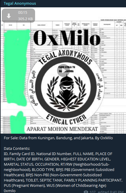 Alleged sale of Indonesian database