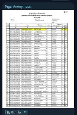 Alleged Data Leak of an Unidentified Indonesian Voter list