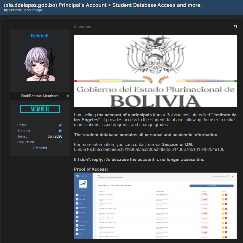 Alleged sale of compromised access to SIA – Departmental Directorate of Education La Paz