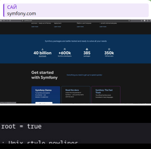 IT ARMY OF RUSSIA targets Symfony