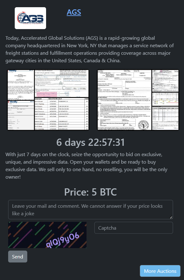 加速全球解决方案成为Rhysida勒索软件的受害者