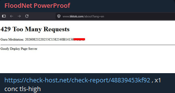 FloodNet PowerProof targets the website of TikTok