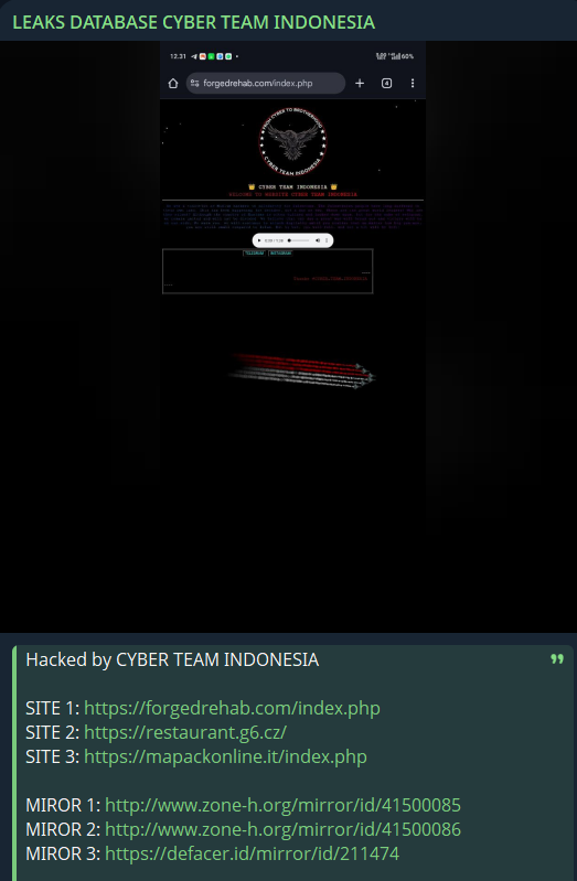 泄露数据库CYBER TEAM INDONESIA瞄准伪造康复中心网站