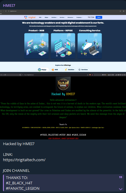 HMEI7针对Trigital Technologies Pvt Ltd的网站