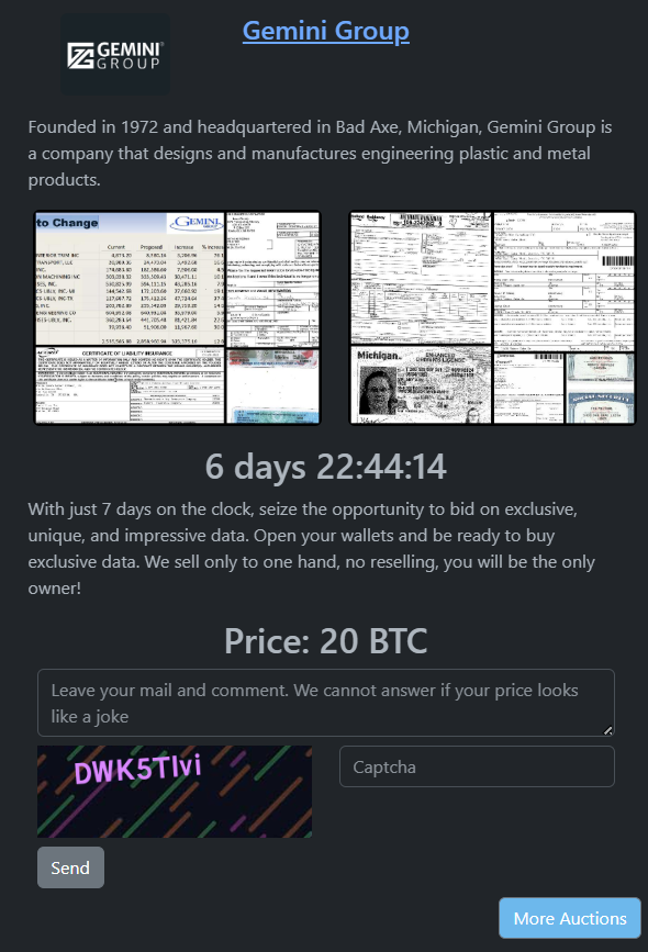 Gemini Group成为RHYSIDA勒索软件的受害者
