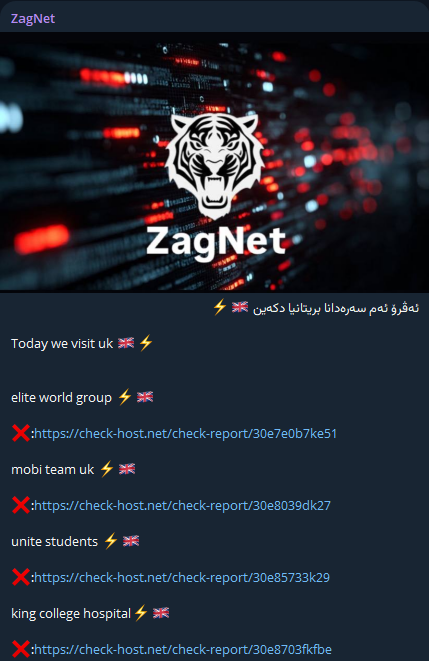 ZagNet瞄准精英世界集团网站