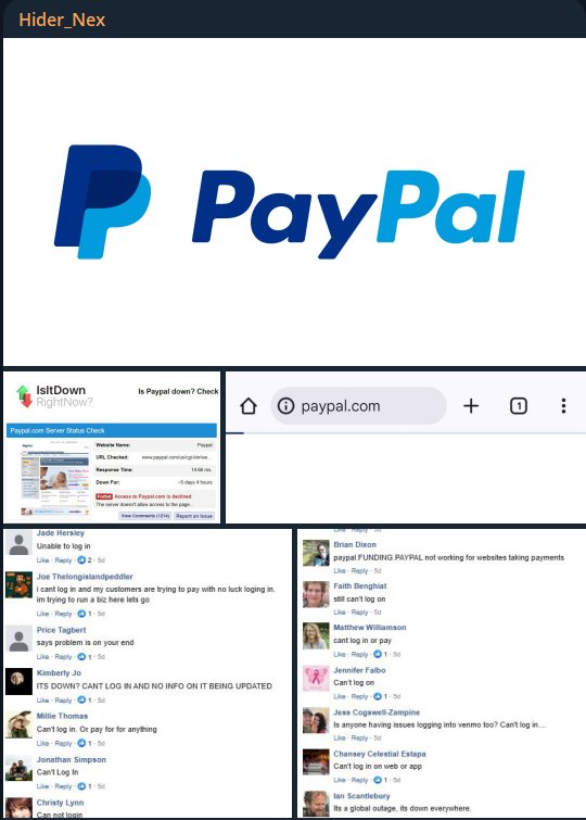 Hider_Nex针对PayPal Holdings，Inc的网站